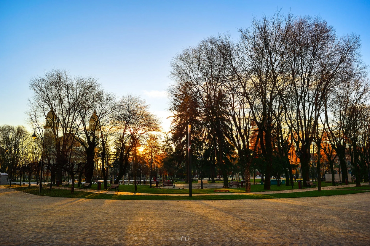 FOTO: Florin Dobranici | Serenadă în tonuri de oranj