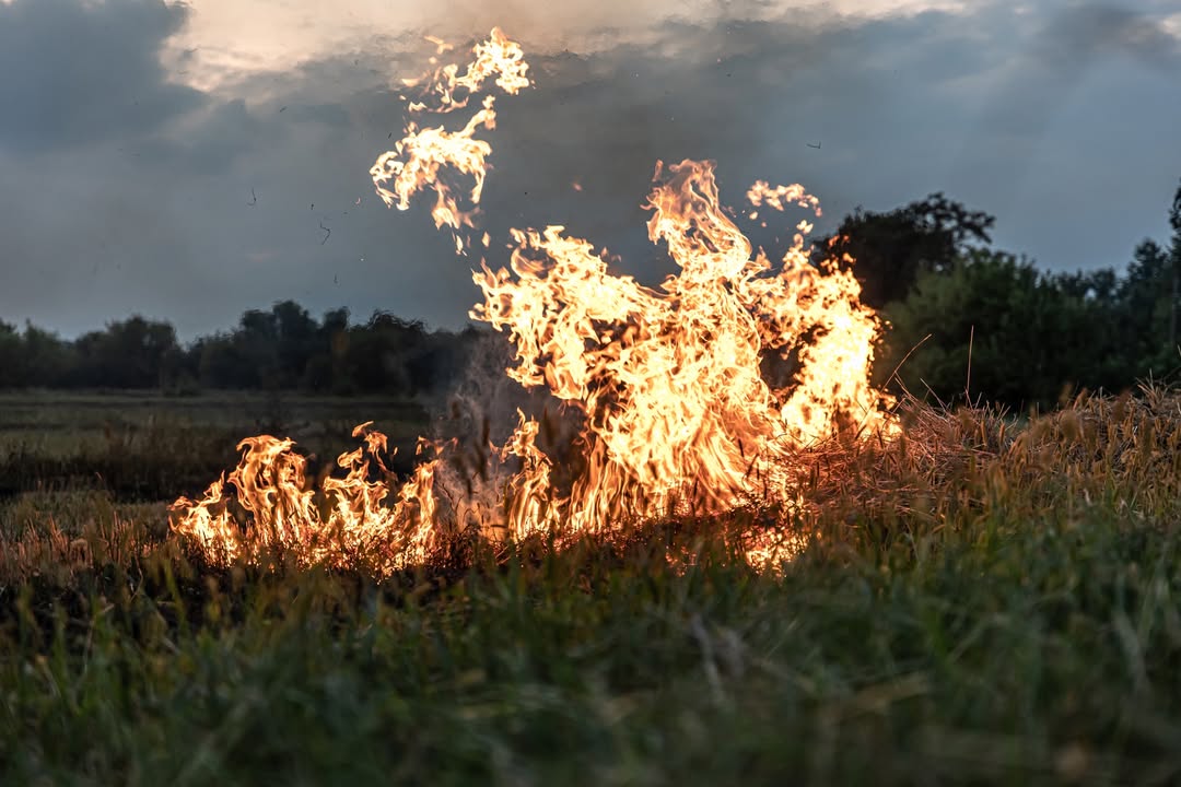 Avertizare privind creșterea incendiilor de vegetație uscată în Satu Mare