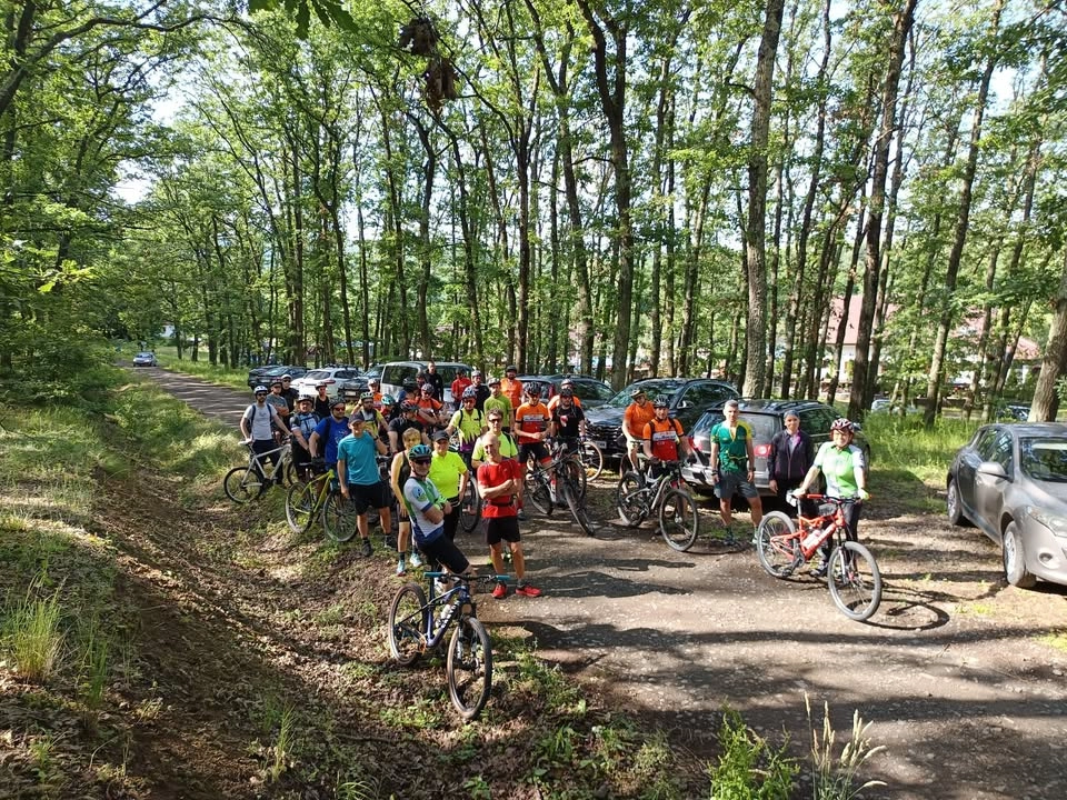Mișcare în Codru - MTB | Alergarea și Drumeție pentru Toți