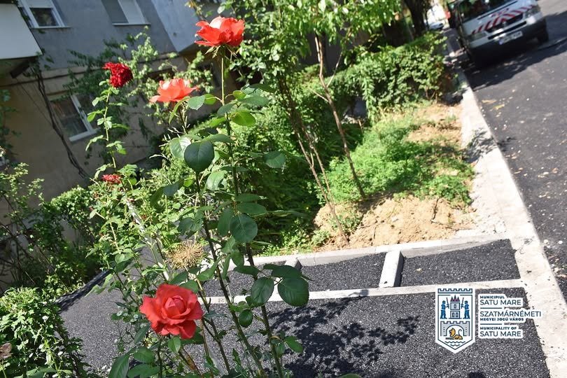 Modernizare trotuarelor și drumurilor în Satu Mare pe strada Belșugului
