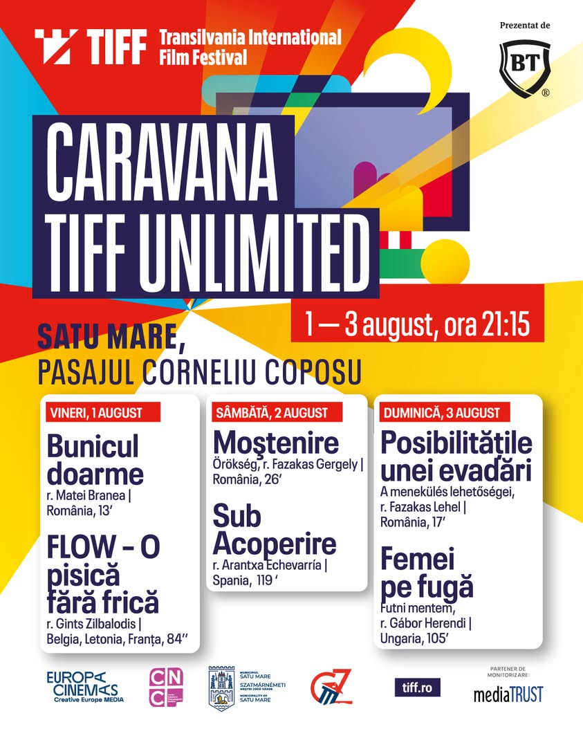 Experiența cinematografului în aer liber la Satu Mare