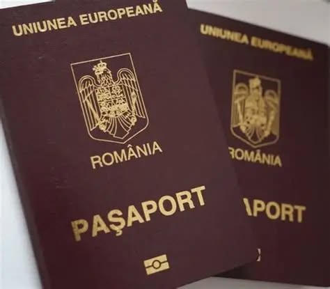 Servicii publice comunitare în luna iulie 2025 la Satu Mare