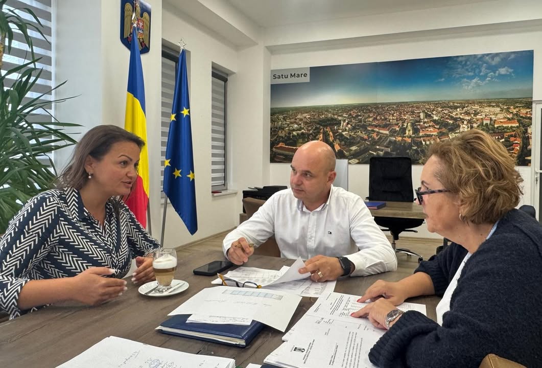 Întâlnire de lucru pentru dezvoltarea municipiului Carei