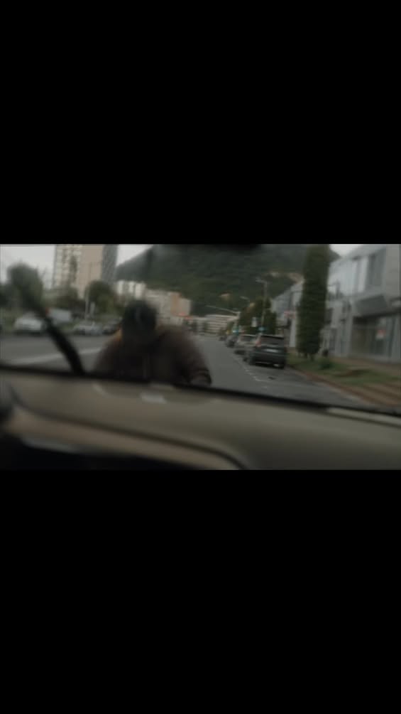 Trecerea pentru pietoni, singura variantă corectă
