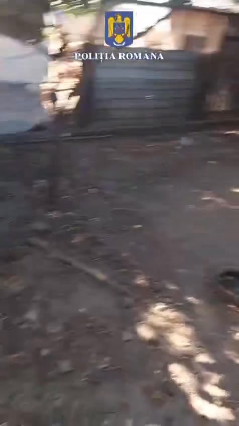 Fetiță dispărută, găsită în siguranță în Brăila