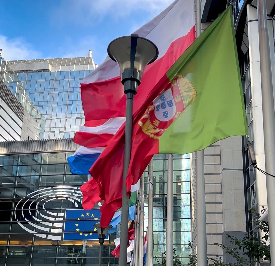 Parlamentul European solidar cu victimele accidentului de la Elevador da Gábria