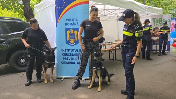 Noul an școlar se apropie: sfaturi și surprize pentru elevi și părinți