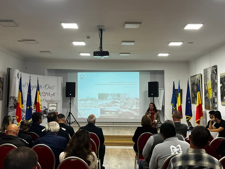 Primul exercițiu tactic interinstituțional pentru protejarea patrimoniului în Satu Mare