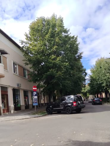 Lucrări de amenajare a locurilor de parcare pe strada Mihai Viteazu