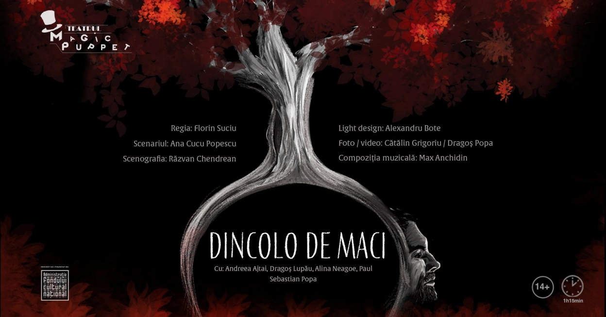 DINCOLO DE MACI | Teatrul De Nord | Satu Mare