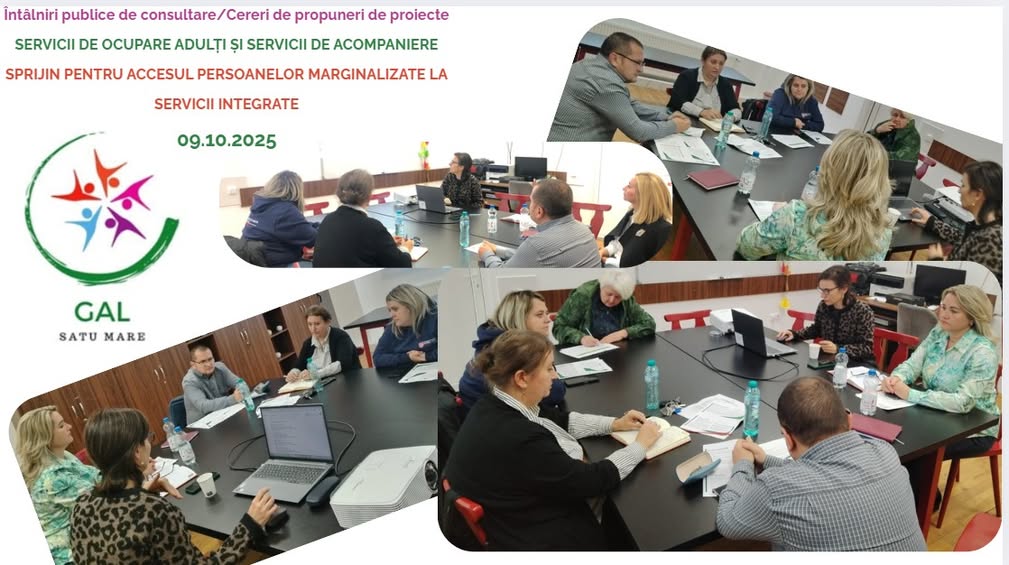 Continuă întâlnirile de consultare pentru servicii sociale și de ocupare