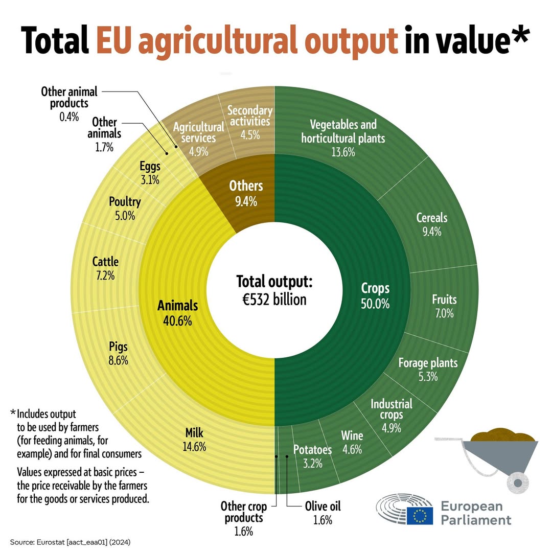 Agricultorii cer un tratament echitabil în UE