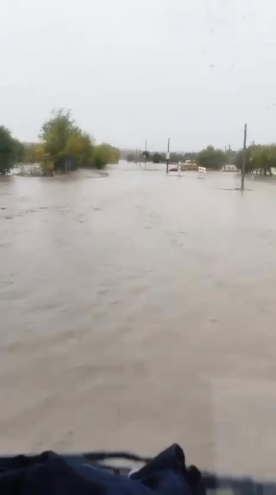 Eforturi de salvare în localitatea Șepeș Vodă, județul Constanța