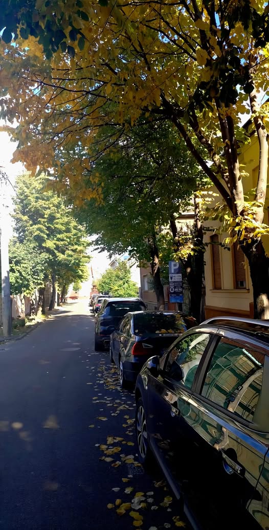 Lucrări de amenajare a locurilor de parcare în Satu Mare
