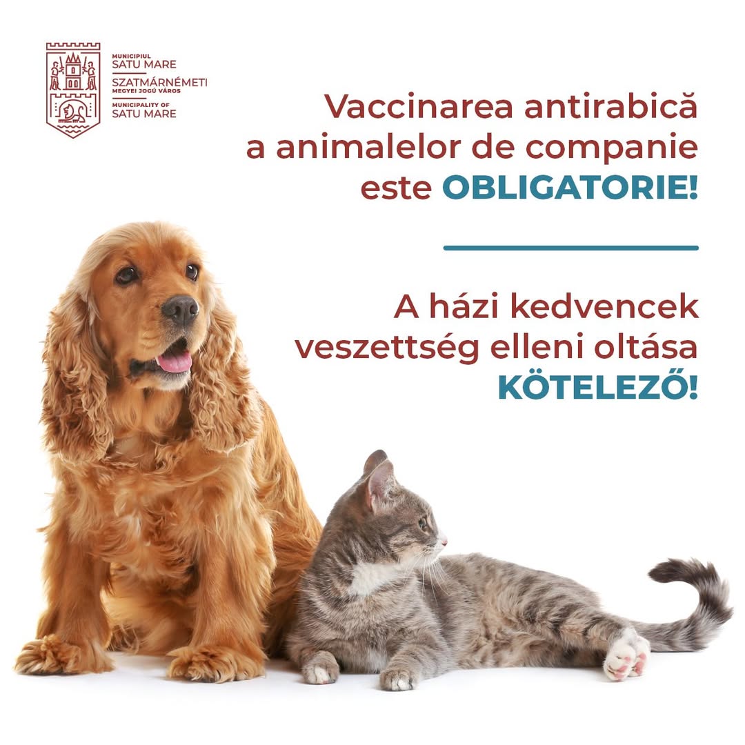 Campanie de vaccinare antirabic în Satu Mare în perioada octombrie-decembrie 2025