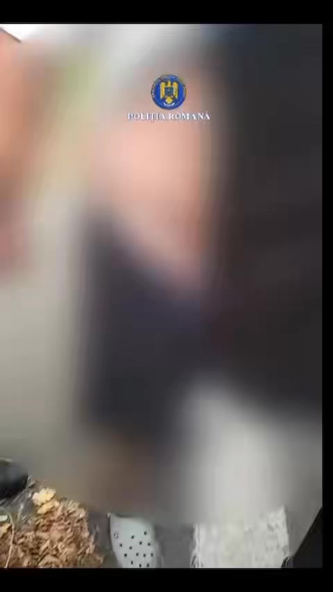 Tâlhărie falsă în Vâlcea, descoperită de poliție