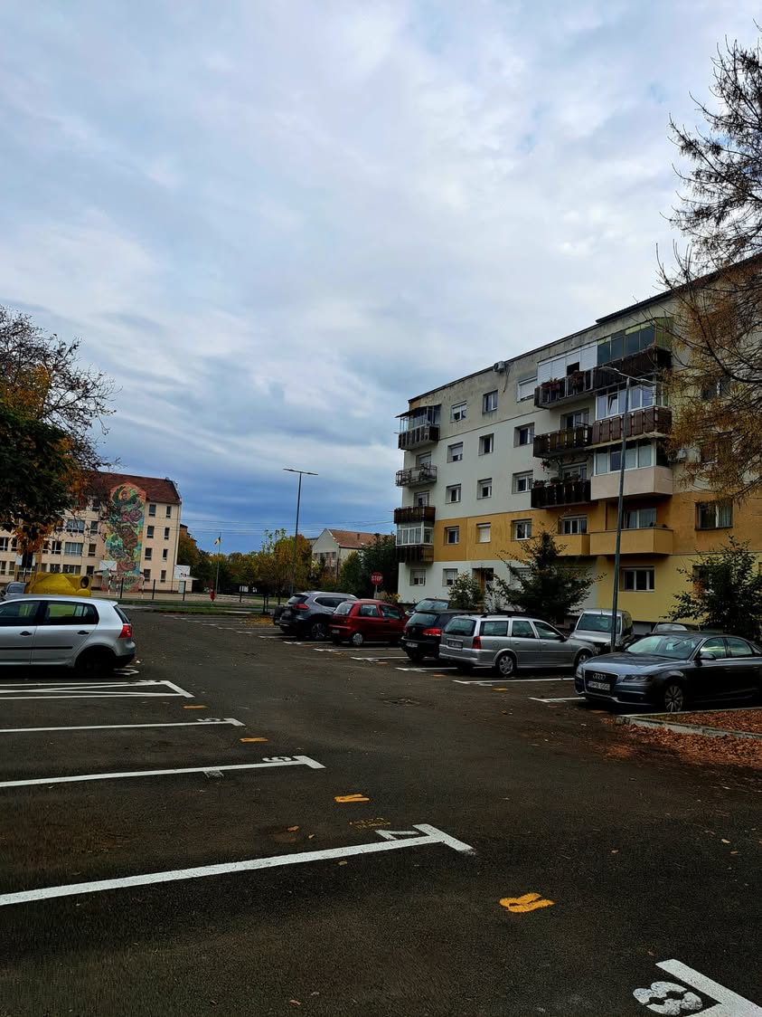 Rezervări locuri de parcare pentru persoanele cu handicap în Satu Mare