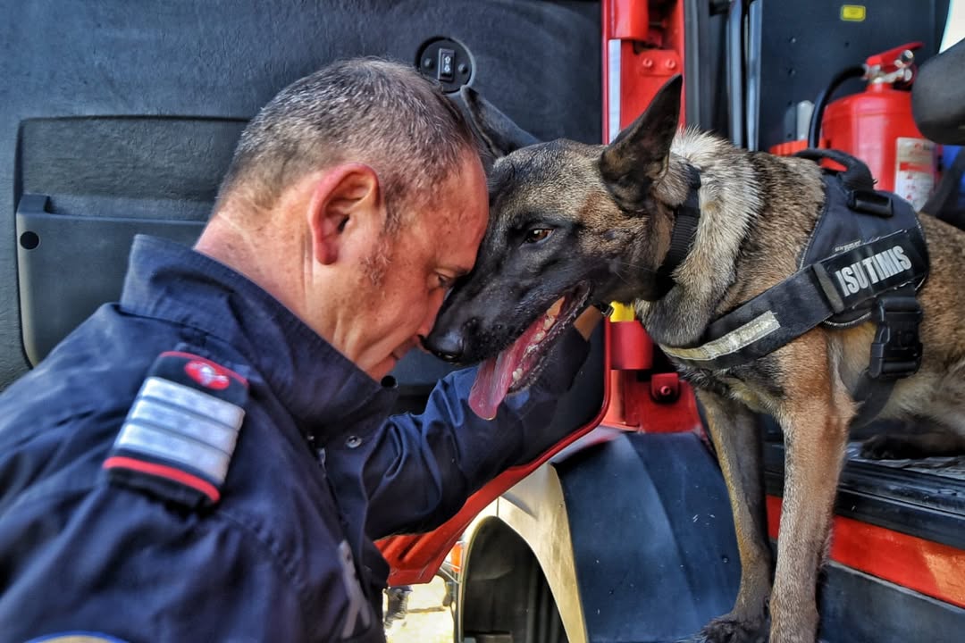 Echipă canină ISU Timiș, parteneri de încredere în misiuni de salvare