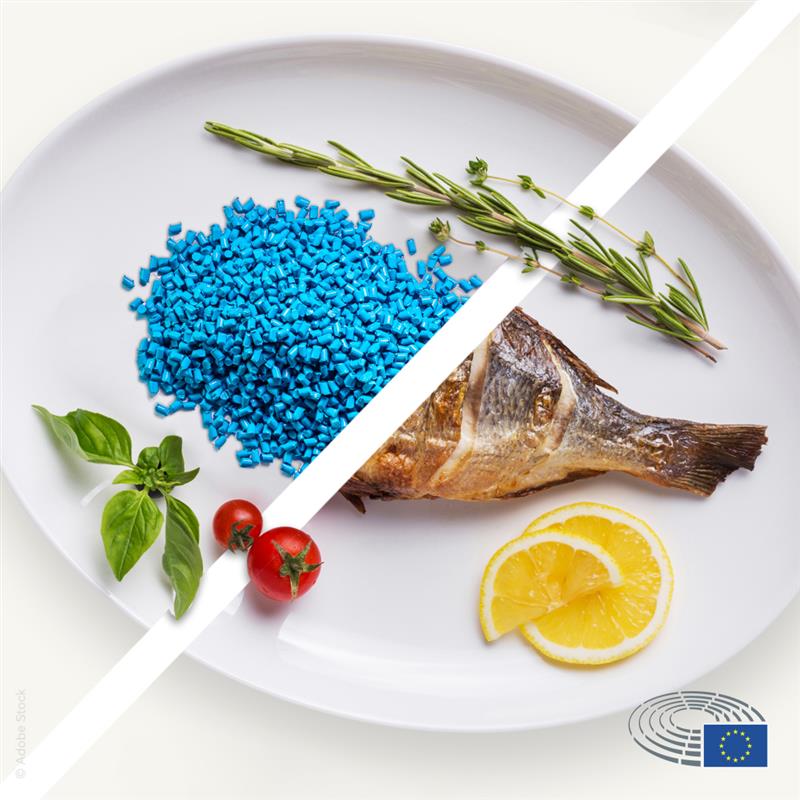 Parlamentul European combate poluarea cu microplastice din pelletii industriali