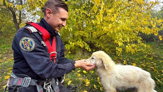 Salvarea unui pui de cățel dintr-un puț adânc în Tulcea