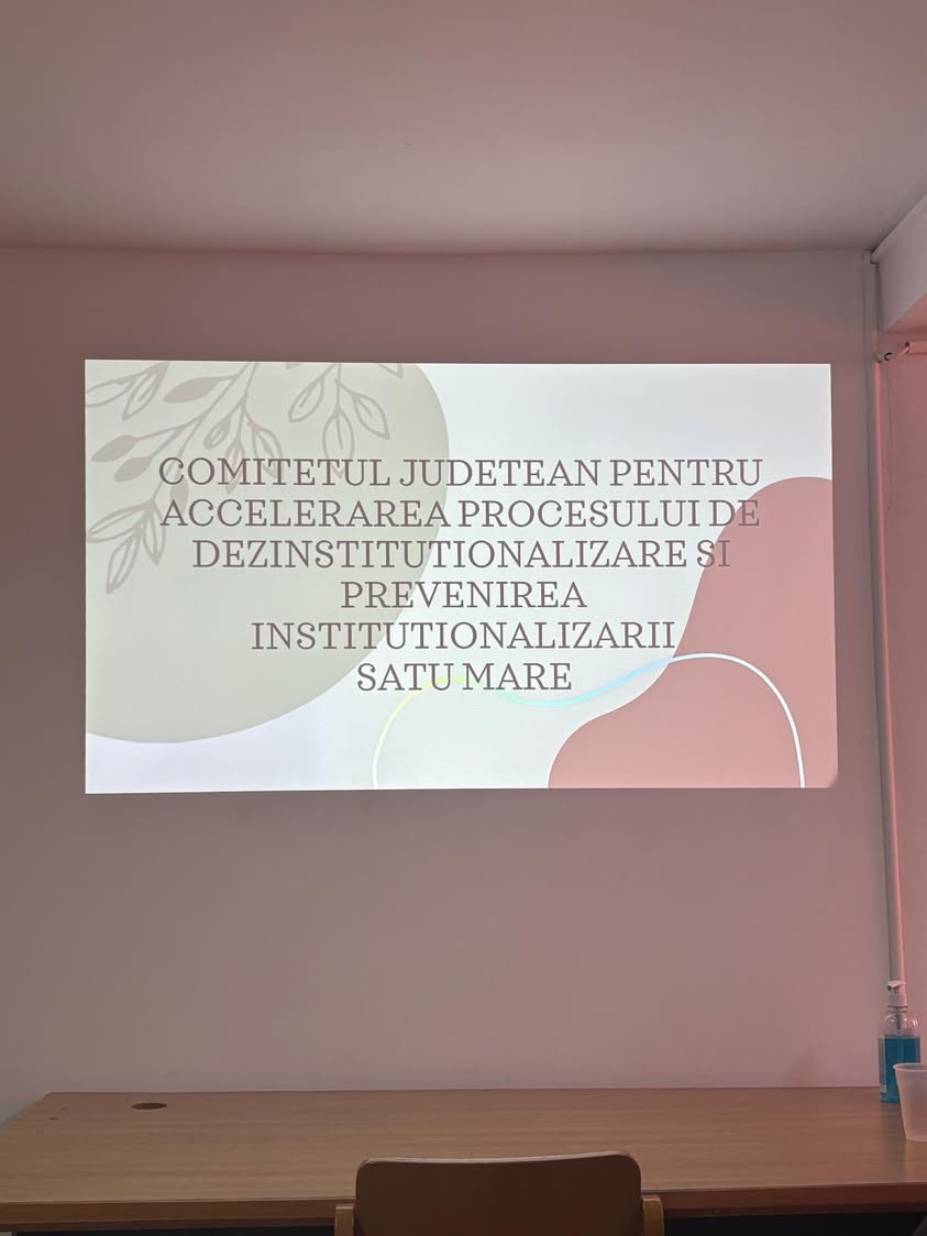 Întâlnire pentru accelerarea dezinstituționalizării în Satu Mare
