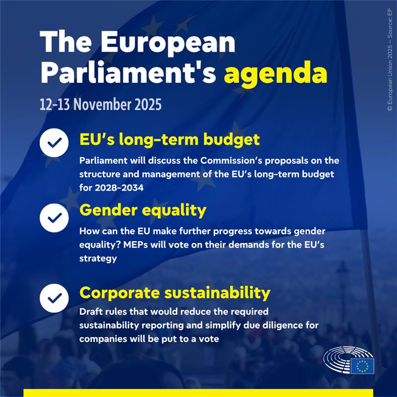 Parlamentul European dezbate bugetul pe termen lung și măsuri pentru mediu