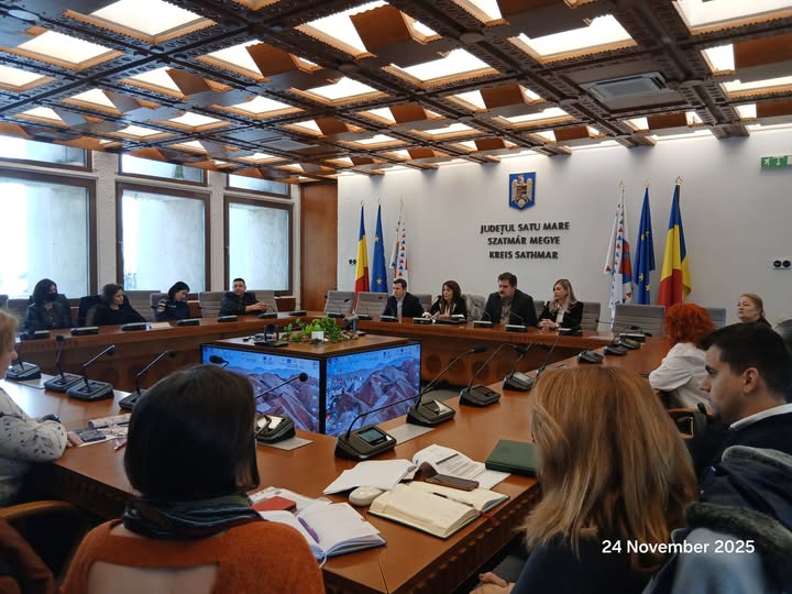 Ziua Internațională pentru Eliminarea Violentelor asupra Femeilor în Satu Mare