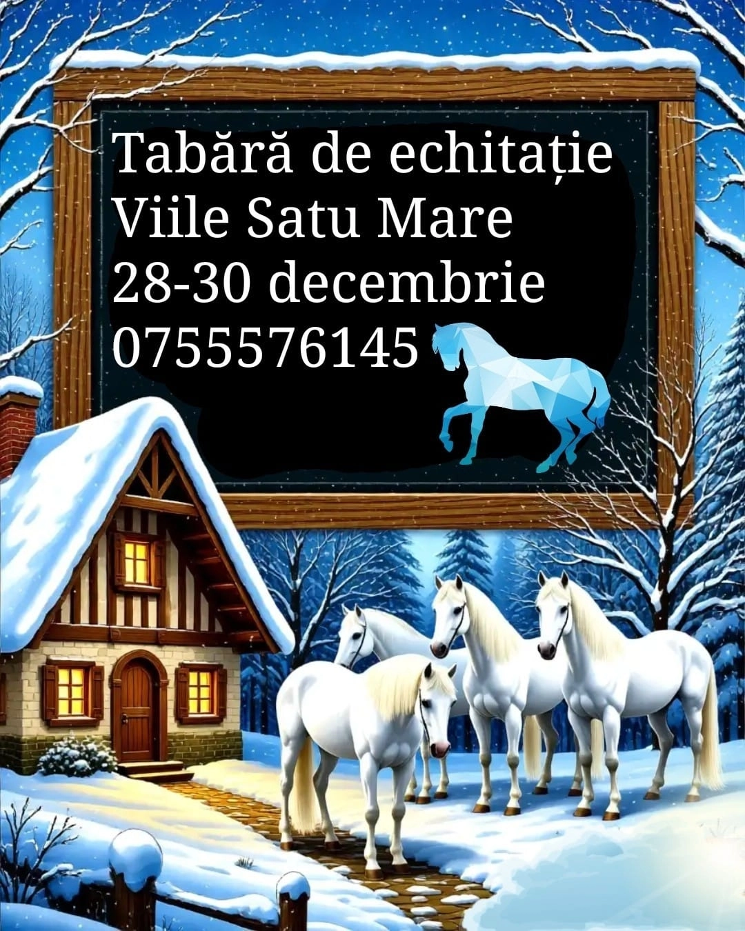 Tabără de echitație | Viile Satu Mare
