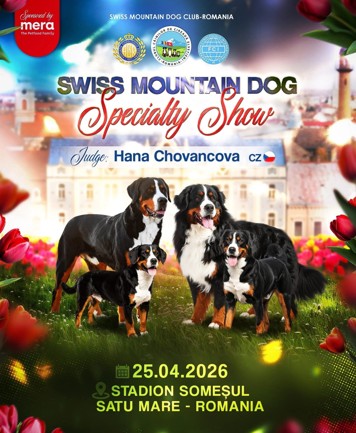 Swiss Mountain Dog Club Show