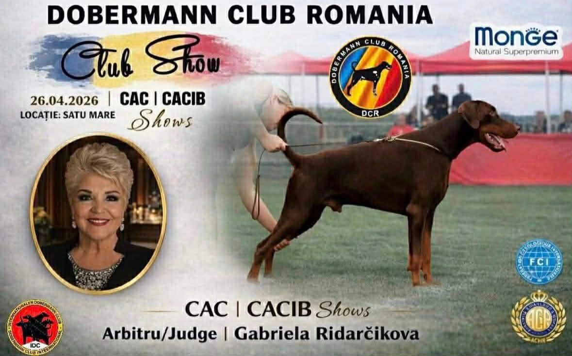 Dobermann Club România | Satu Mare